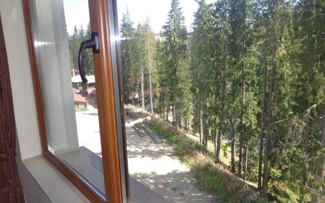 Ski & Holiday Apartments in Pamporovo