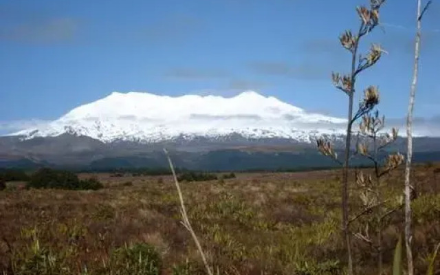 StDavids Ruapehu