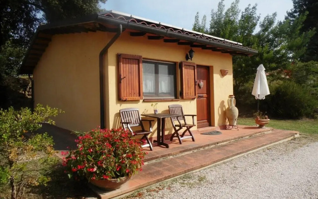 Podere Caldaruccio La Pineta - Bungalow