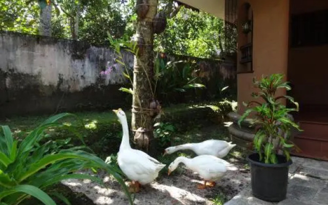 Pagoda Heritage Inn