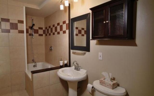 Chalet - 16 Chemin Des Adirondacks