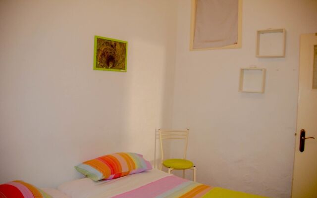 Cats House
