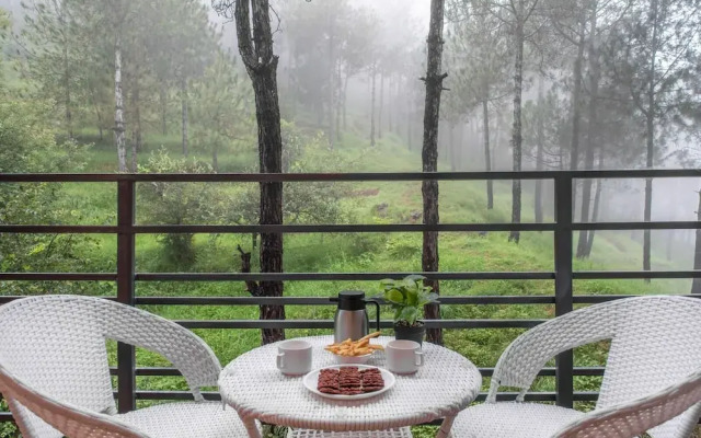 Kasauli hill Crest