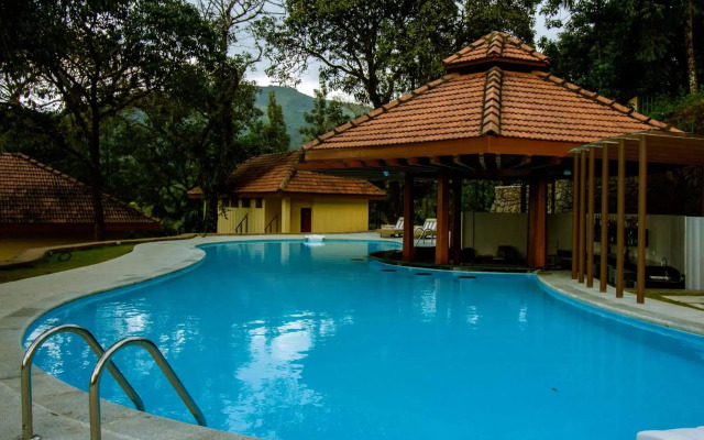 The Tamara Coorg