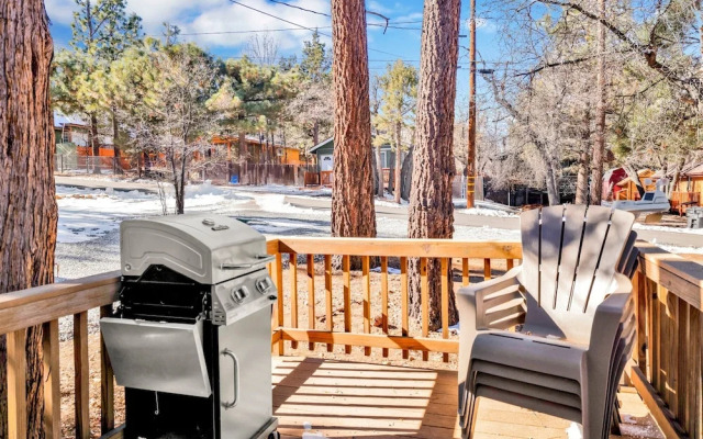 Sugar Bear Crossing #2496