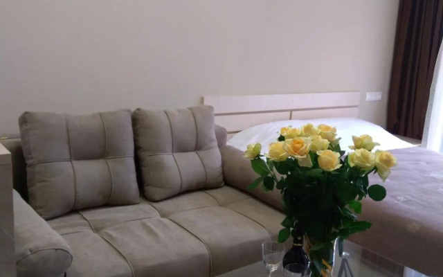 Tsaghkadzor, Alvina Complex Apartment 163