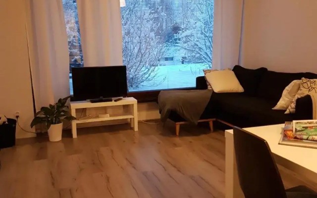 Lapland Spacious Apartment, Rovaniemi