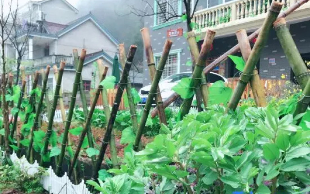 Ningguo Bamboo Sea Gushi Farm Stay – Outside – Xuancheng