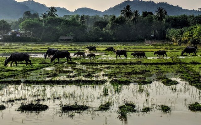 The Island Hideout - Koh Yao Noi