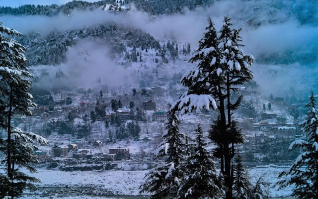Alt Life Manali