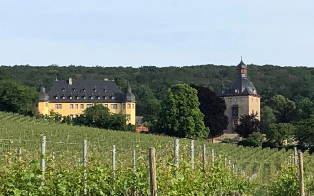 Rheingau und Weltkulturerbe Mittelrheintal erleben - Ferienappartement in Winkel