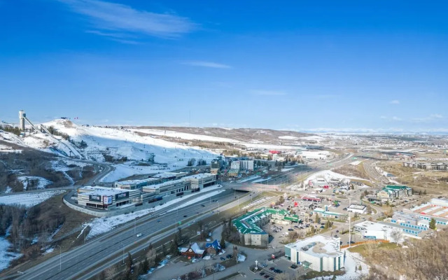 The Owl Petsok 3 Queenbd Firepit 3smarttvs