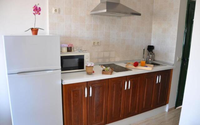 Apartamentos Dunia 211