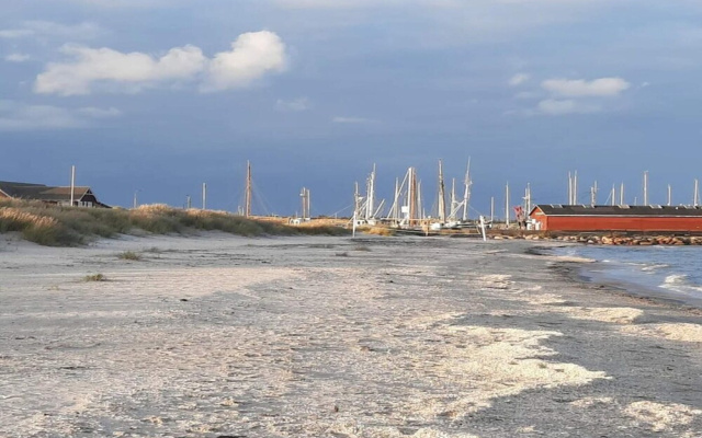 8 Person Holiday Home in Albaek