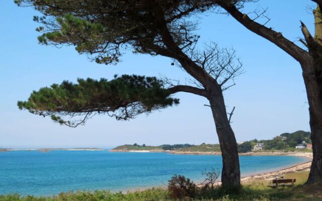 Les Hortensias (TBD100)