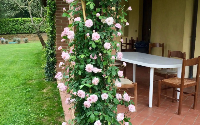 The Grapevine by MANVI