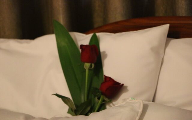 Relax Guesthouse