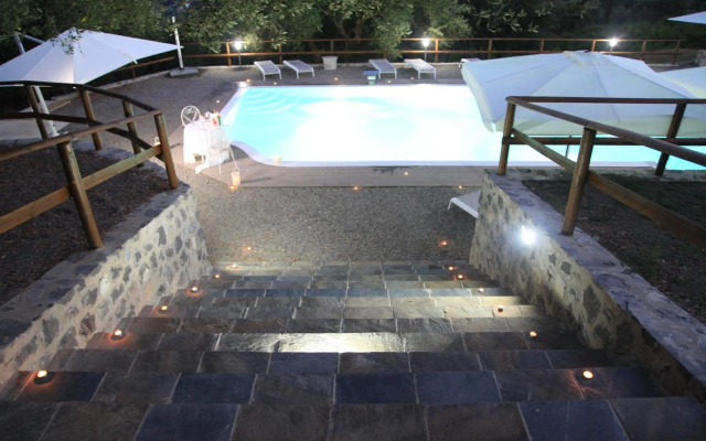 Tenuta Terre di Bosco