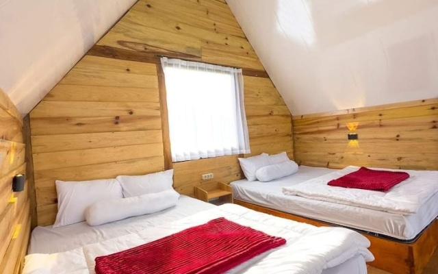 Glamping Dieng New