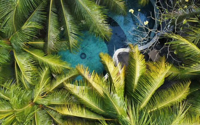 Tarzan Marriott On Penida