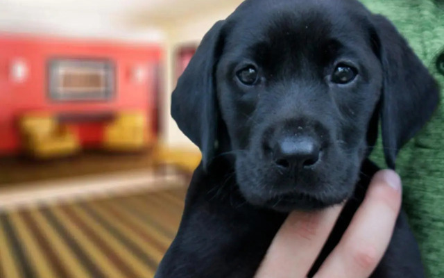 Studio Plus Akron - Copley