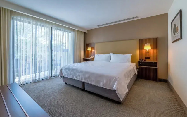 Holiday Inn San Jose La Sabana by IHG