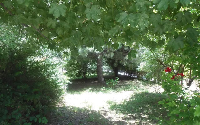 Grande Albergo Gambarie