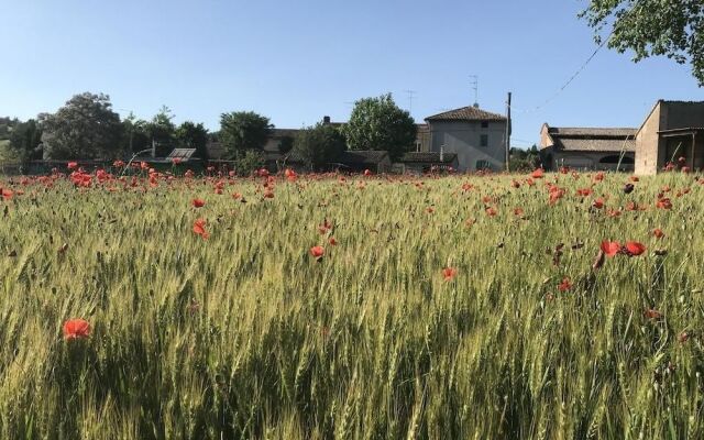 Tra i Campi Di Papaveri