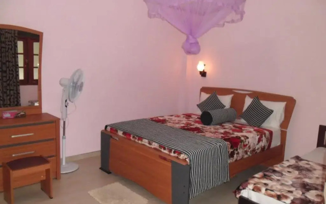 New Blue Home