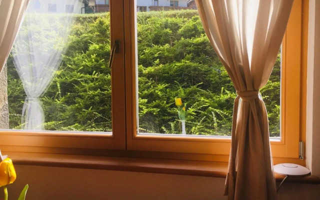 Vall’s apartment- by ski slopes