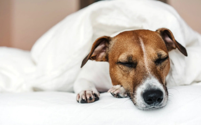 Holiday Inn - the niu, Form Stuttgart Feuerbach by IHG