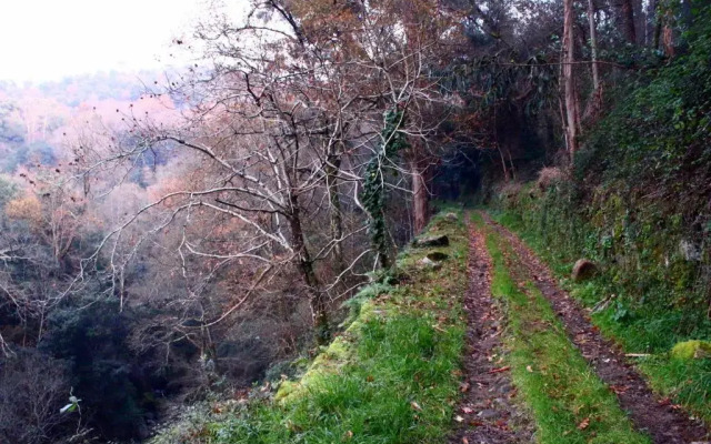 Casa do Vale de Cerdeiras