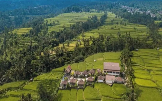 Thantha Serenity Resort