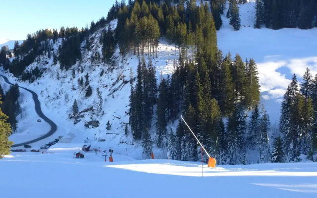 Le Cyclamen Val-dilliez