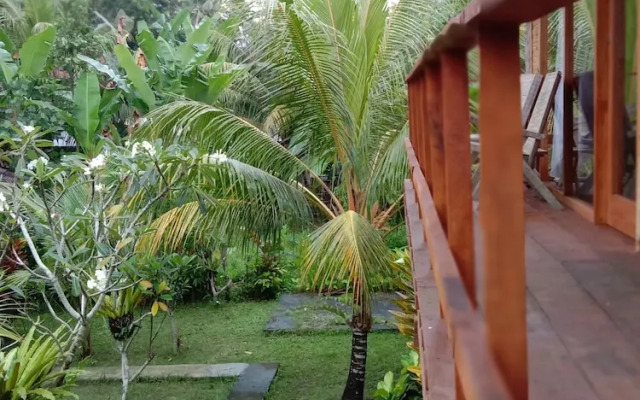 Jungle House - surf & stay