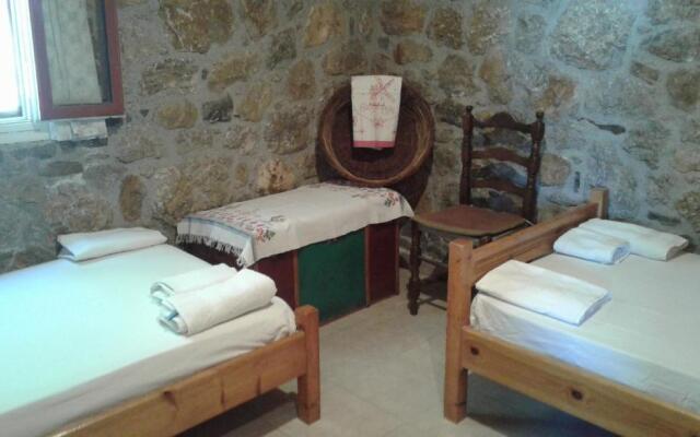 Antonis's Palm House