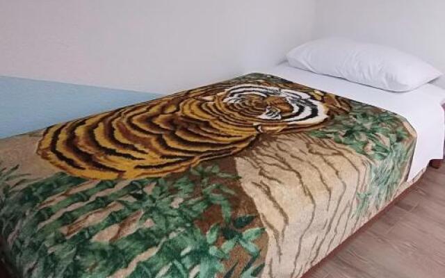 Apartment Cajt