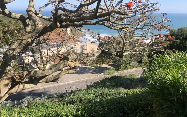 Dutton's Cove Guesthouse