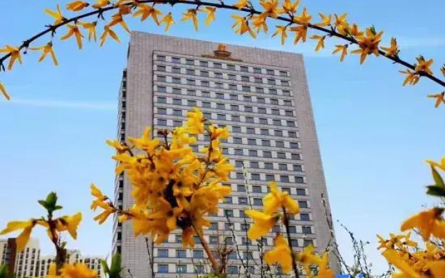 King Lion Hotel