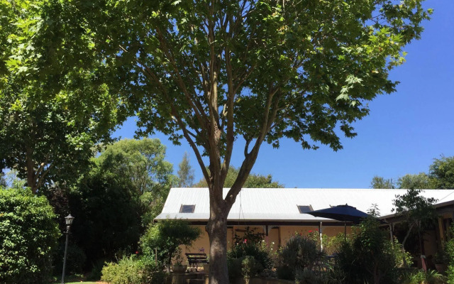 The Noble Grape Guesthouse