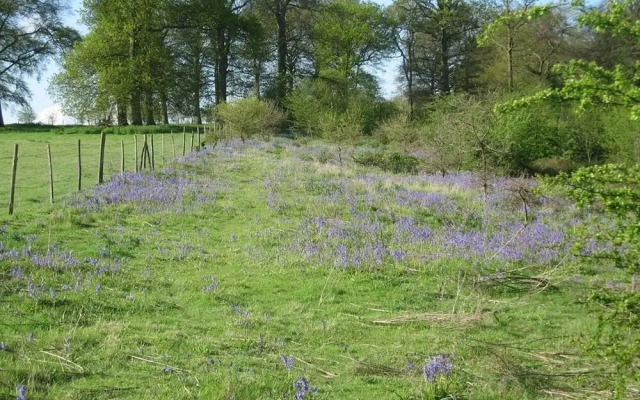Landews Meadow Cottages