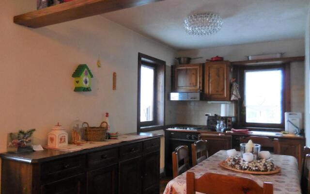 Edelweiss- ski in/out