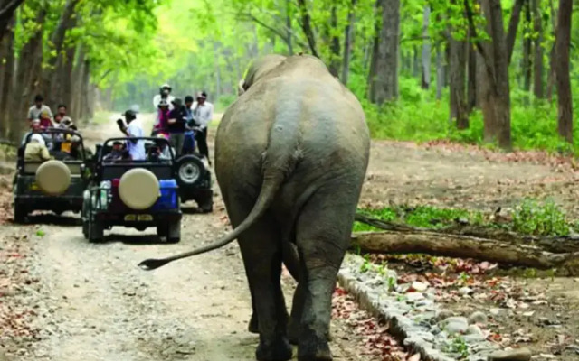 Corbett Treat Resort