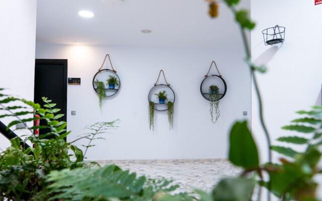 Hotel Ventus