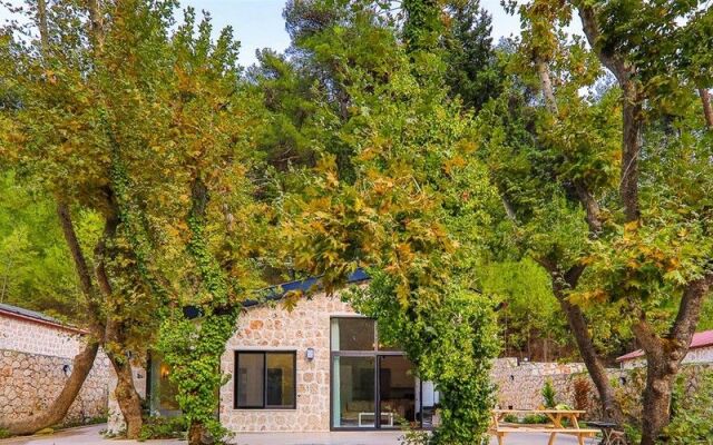 Villa Kozmos 2