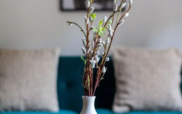 The Belsize Park Collection