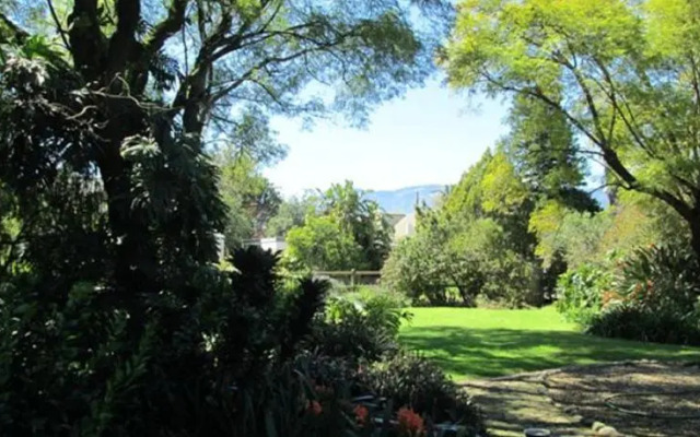 June's Place