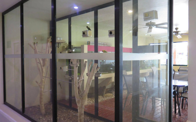 Royale House Hotel Davao powered by Cocotel