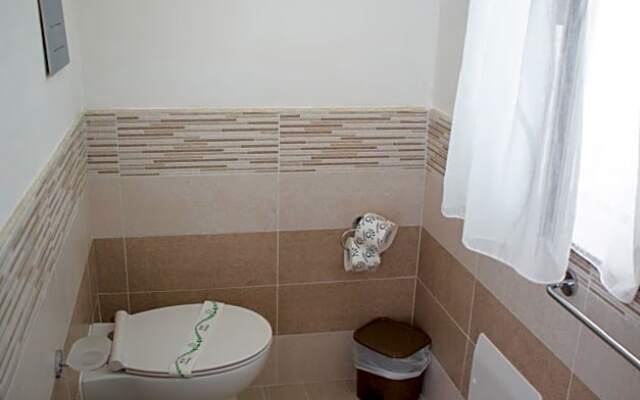 B&B Dionea