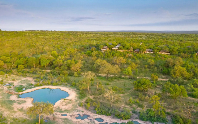 Leopard Hills